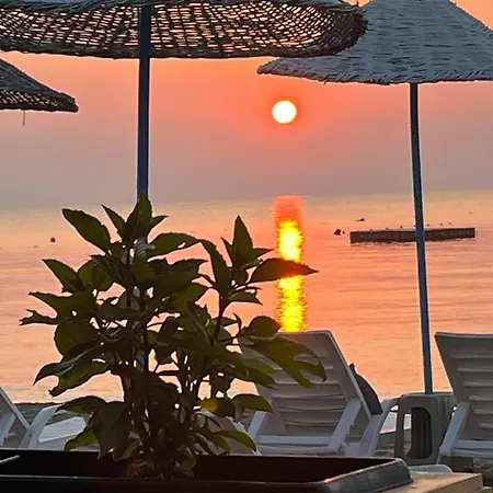 Hotel Kocareis Seafront & Restaurant Agios Sergios