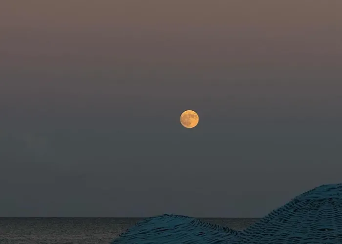 Kocareis Seafront & Restaurant Otel 3*